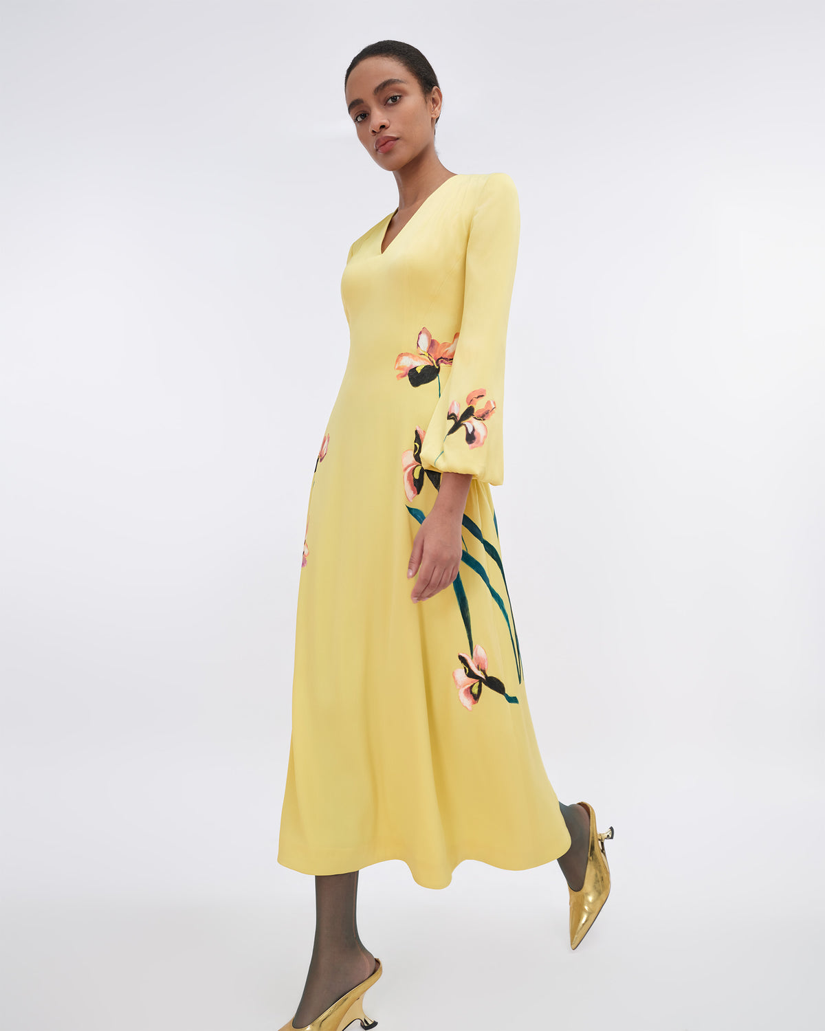 Meadow Whisper - V-Neck Flared Dress